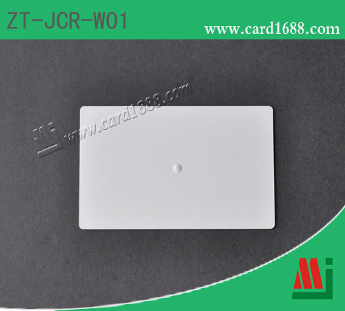 型号: ZT-JCR-W01 (车辆标签)