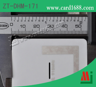 型号: ZT-DHM-171 (超高频陶瓷抗金属标签)