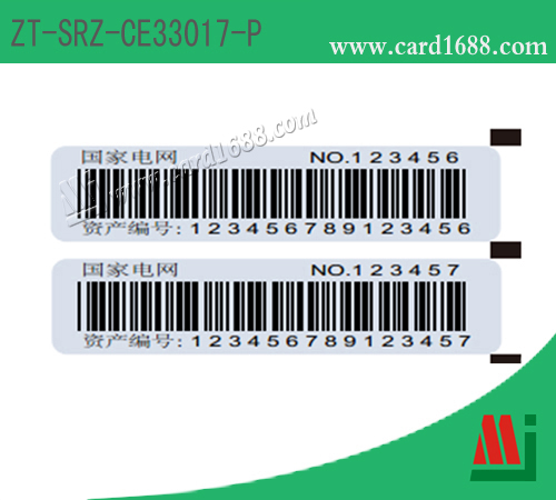 电表标签 (型号: ZT-SRZ-CE33017-P)