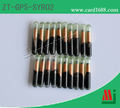 型号:ZT-GPS-SYR02 (注射式标签) 