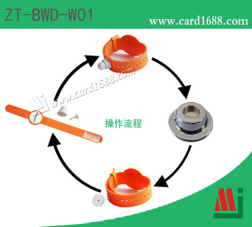 双频软PVC手腕带 (产品型号: ZT-BWD-W01)