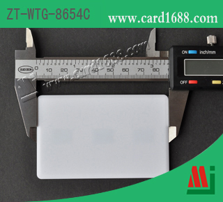 型号: ZT-WTG-8654C (RFID 车辆标签)